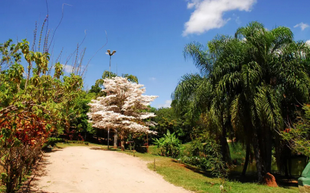 Parques e Áreas Verdes em Sorocaba Para Relaxar