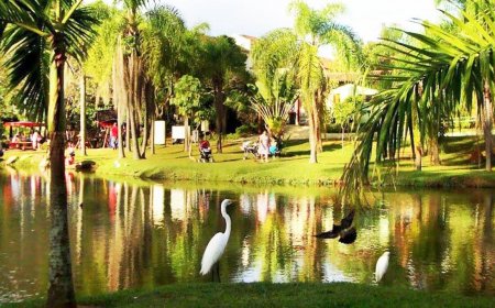 Turismo Ecológico em Sorocaba: Parques e Áreas de Conservação