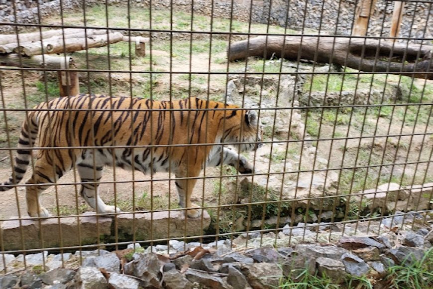 Parque Zoológico Municipal Quinzinho de Barros