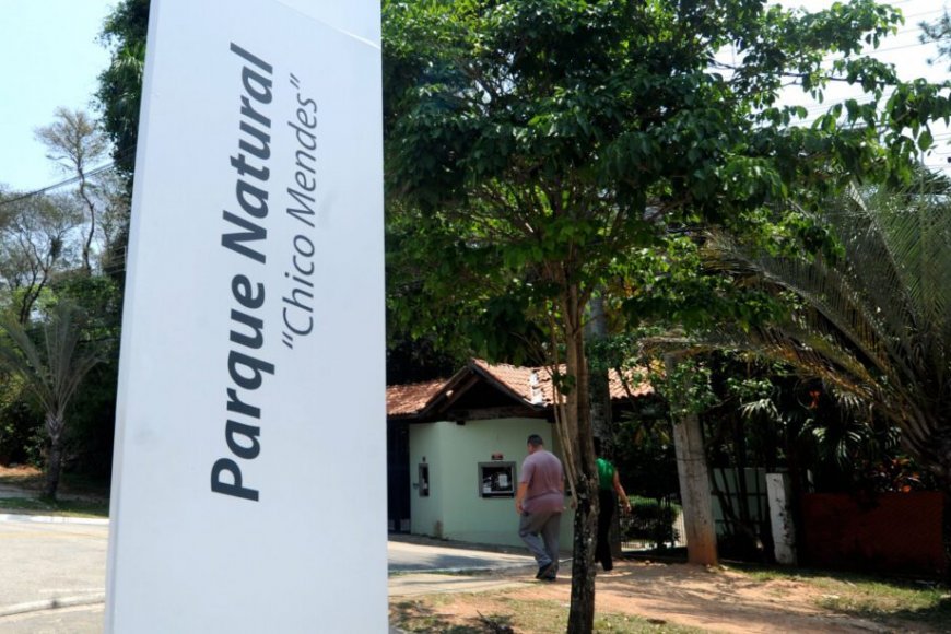 Parque Natural Chico Mendes