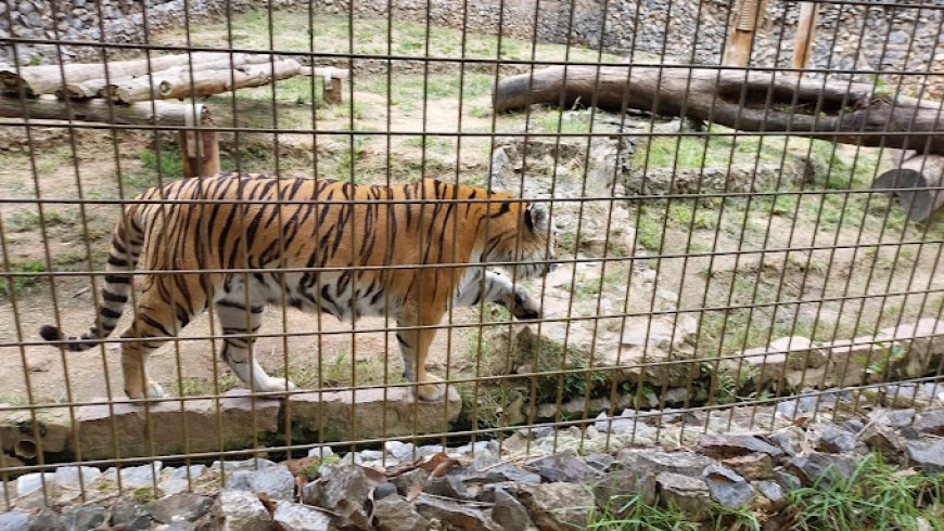 Parque Zoológico Municipal Quinzinho de Barros