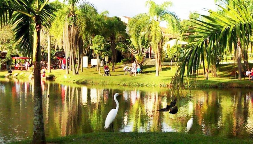 Turismo Ecológico em Sorocaba: Parques e Áreas de Conservação
