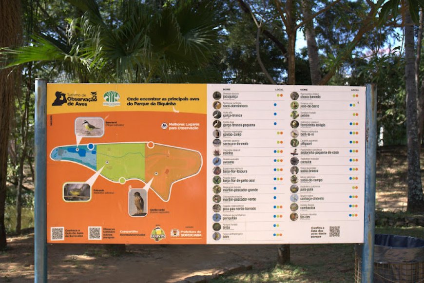 Explorando o Parque da Biquinha