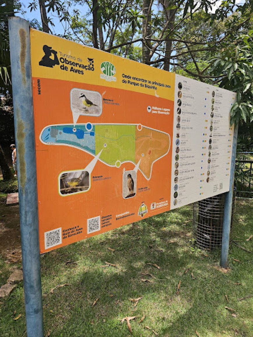 Explorando o Parque da Biquinha